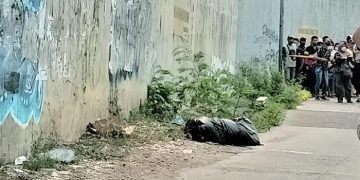 Polisi Selidiki Pembuang Bangkai Anjing di Pinggir Kali Jakbar