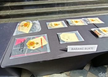 Peran 3 Muncikari Cassandra Angelie: Tawarkan Prostitusi dan Tampung Dana