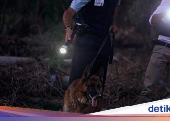 6 Fakta Polwan Manado Briptu C Jadi Buronan