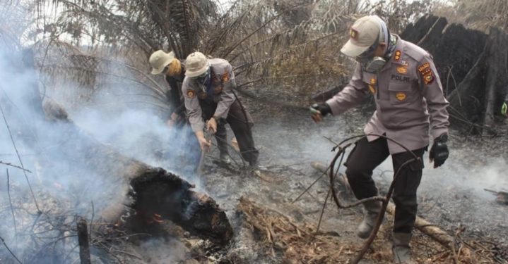 keterlibatan korporasi dalam penanganan kasus karhutla